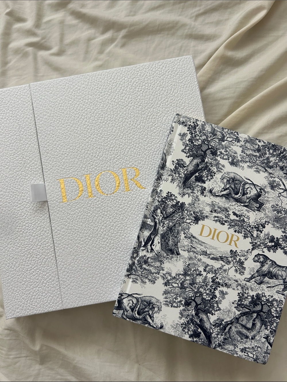 Dior large notebook - Blue Toile de Jouy